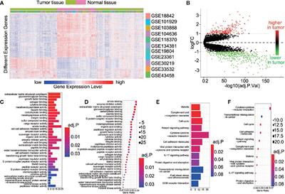 GEO Data Mining Identifies OLR1 as a Potential Biomarker in NSCLC Immunotherapy